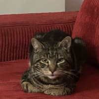 Photo of Max Purkinje