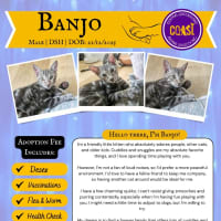 Photo of Banjo