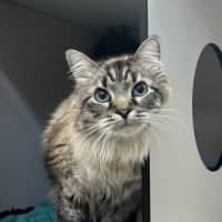 Photo of Phoenix