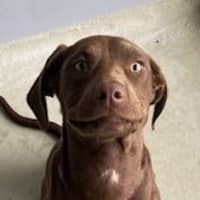 Photo of Polly Waffle