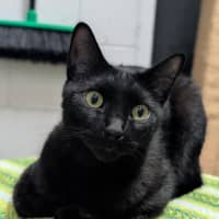Photo of Friday