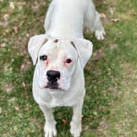 Photo of Lila