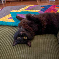 Photo of Sabrina