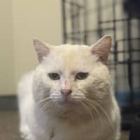 Photo of Milton