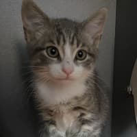 Photo of Theodore