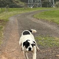 Photo of Ramona