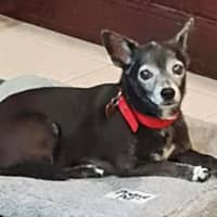 Photo of Minnie