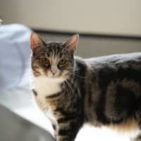 Photo of Clemence