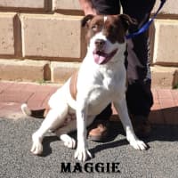 Photo of Maggie