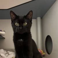 Photo of Sumi 