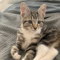 Photo of Bobbie