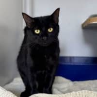 Photo of Luna