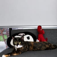 Photo of Smudges