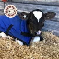 Photo of Wicket And Randy