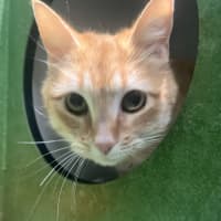 Photo of Roxanne