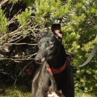 Photo of Heidi