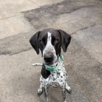 Photo of Lucy