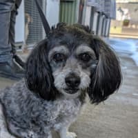 Photo of Max