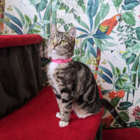 Photo of Taylor   Located In Preston