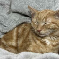 Photo of Rupert