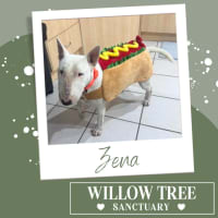 Photo of Zena