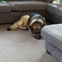 Photo of Rexar