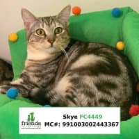 Photo of Sammi And Sister Skye