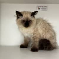 Photo of Mippy