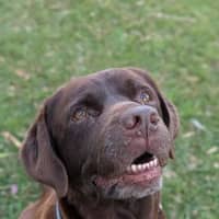 Photo of Coco