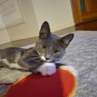 Photo of Grumpy