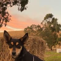 Photo of Maggie
