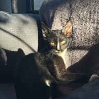 Photo of Tofu