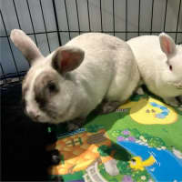 Photo of Audrey Hopburn With Mary Poppin