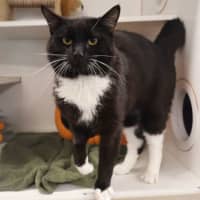 Photo of Burt