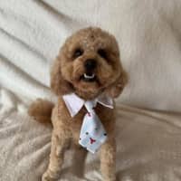 Photo of Kai 