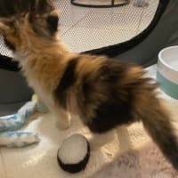 Photo of Hadley Parker