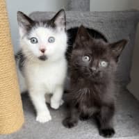 Photo of Rippy & Winki
