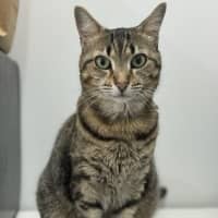 Photo of Kizzie