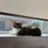 Photo of Lenny