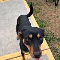Photo of Squash