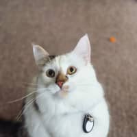 Photo of Julian