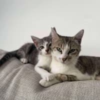 Photo of Penny & Gavin 