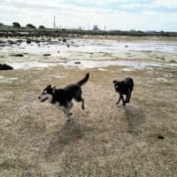 Photo of Captain Chai