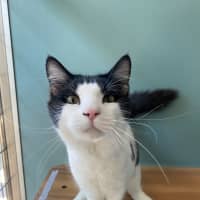 Photo of Timmy