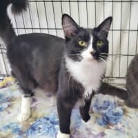 Photo of Jaxson 🖤