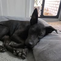 Photo of Zeke