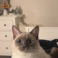 Photo of Monet