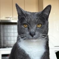 Photo of Luna