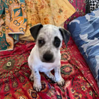 Photo of Bertha