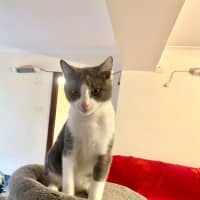 Photo of Jasper